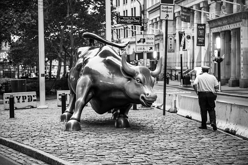 New York, NY, USA - September 21, 2018: A black and white look at the famous bull of Wall St early in the morning in downtown New York City.