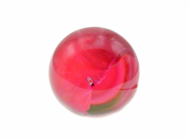 istock flowers with lens ball 1140608831