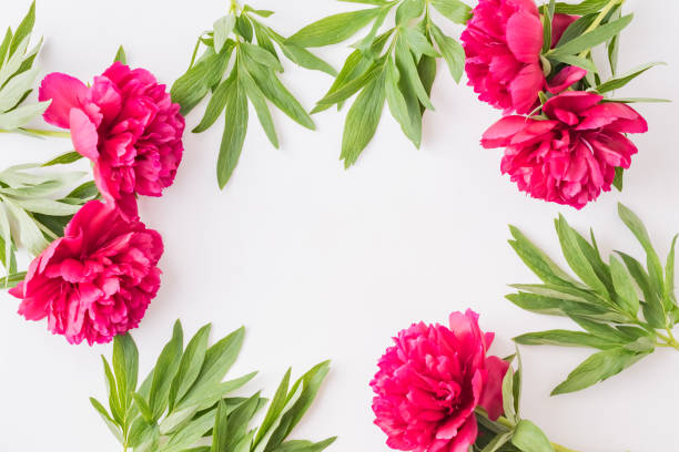 istock Flat lay composition with red peonies and green leaves on a white background 1140608916