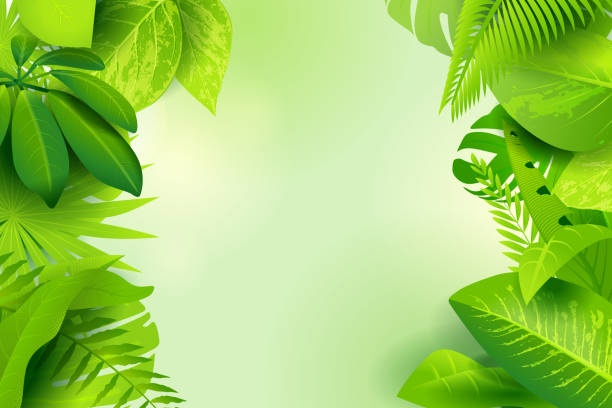 정글 녹색 배경 - tropical rainforest illustrations stock illustrations