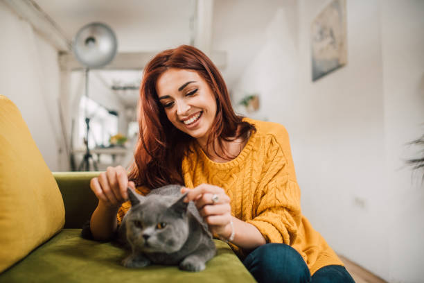 istock Girl stroking a cat 1140609848