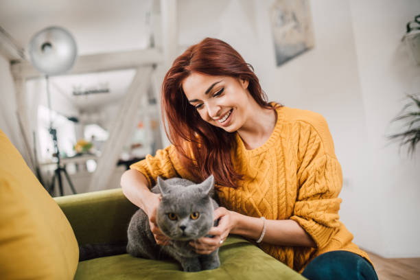 istock Girl petting a cat 1140609849