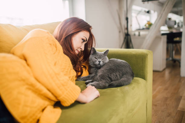 istock Girl petting an animal 1140609894