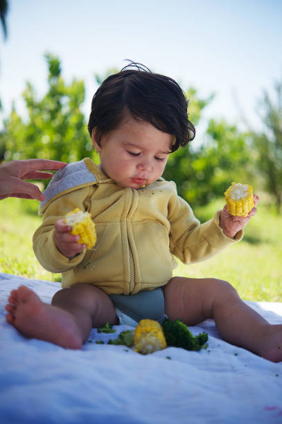 menino que senta-se com o milho na espiga com apoio da mão da matriz - corn fruit vegetable corn on the cob - fotografias e filmes do acervo