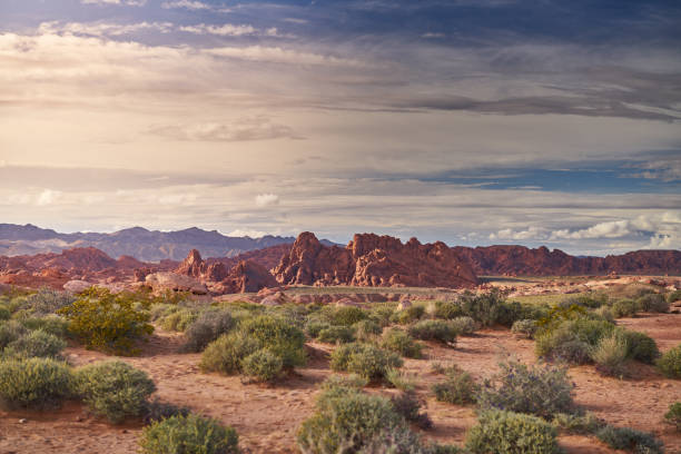 istock Valley of Fire state park landscape 1140614778