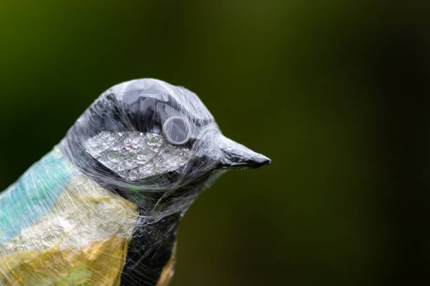 Recycled plastic and foil waste Great Tit bird sculpture. Environmental impact of discarded waste materials on wildlife and nature concept. Close up with copy space.