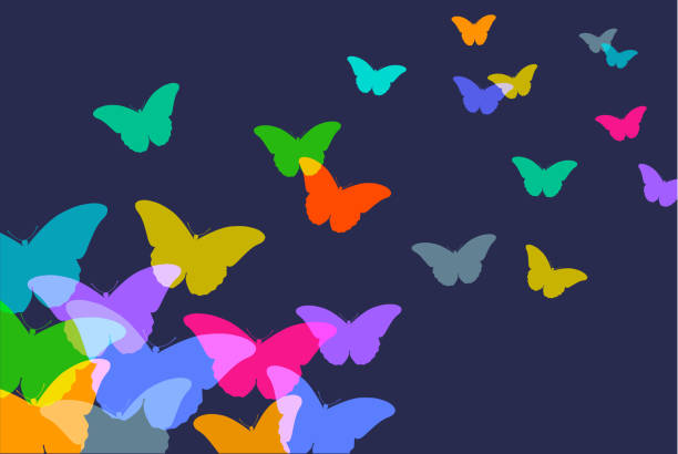 Butterflies Colourful silhouettes of Butterflies. Possible metaphor for freedom. admiral butterfly stock illustrations