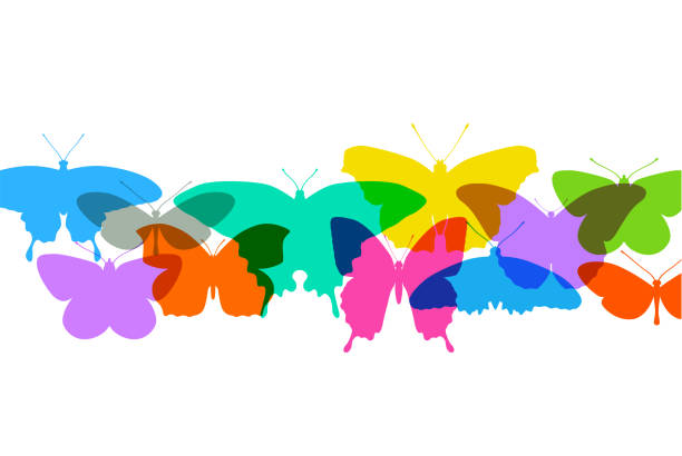 Butterflies Colourful silhouettes of Butterflies. Possible metaphor for freedom. change silhouettes stock illustrations