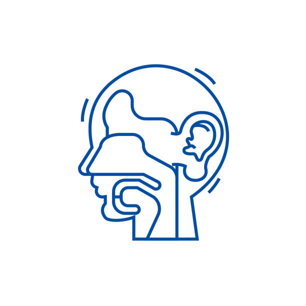 Ear, nose, and throat,ent line icon concept. Ear, nose, and throat,ent flat vector symbol, sign, outline illustration. Ear, nose, and throat,ent line concept icon. Ear, nose, and throat,ent flat vector website sign, outline symbol, illustration. cnidarian stock illustrations