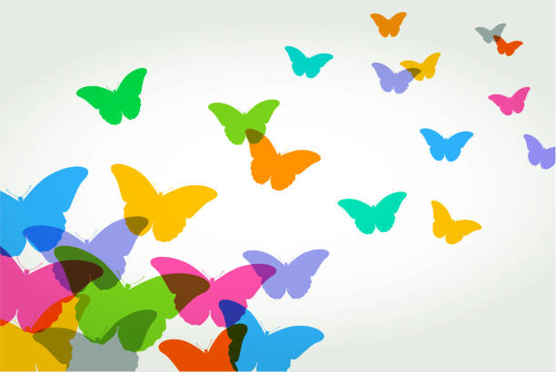 Butterflies Colourful silhouettes of Butterflies. Possible metaphor for freedom. admiral butterfly stock illustrations