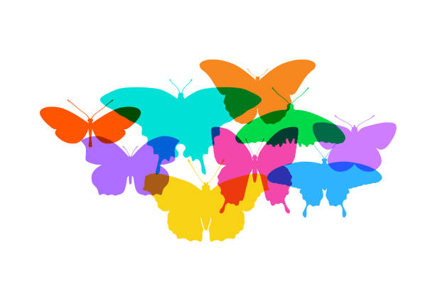 Butterflies Colourful silhouettes of Butterflies. Possible metaphor for freedom. admiral butterfly stock illustrations