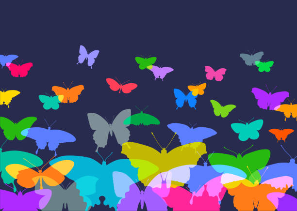 Butterflies Colourful silhouettes of Butterflies. Possible metaphor for freedom. admiral butterfly stock illustrations