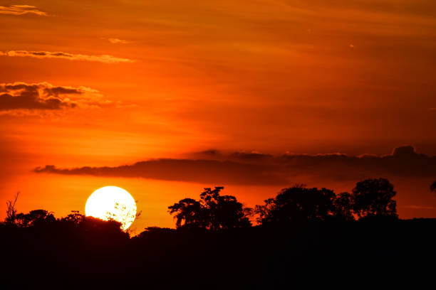 istock Beautiful Sunset over the horizon 1140618257