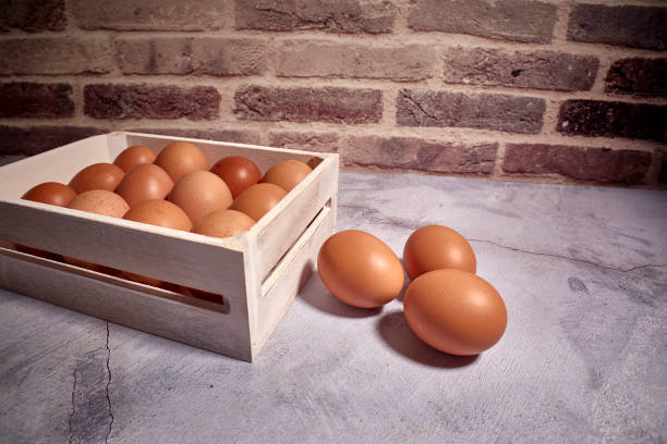 orange eggs of farm chicken
