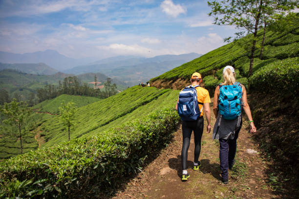 istock Friends Hiking Together 1140618464