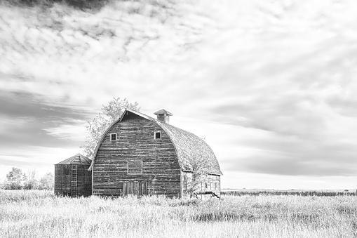 A vintage wooden barn with arched roof in good shape in a rural agriculture black and white landscape
