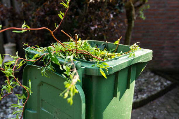 Green wheeled garbage can in back yard with garden waste Green wheelie bin / garden waste container and broom filled with fruit and vegetable waste, garden waste, organic waste for composting and fermentation. Recycling garbage for a better environment. berkel stock pictures, royalty-free photos & images