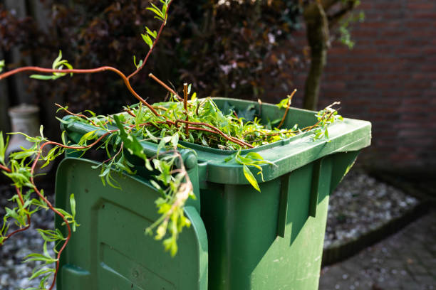 zielony kosz na śmieci na podwórku z odpadami ogrodowymi - green waste zdjęcia i obrazy z banku zdjęć