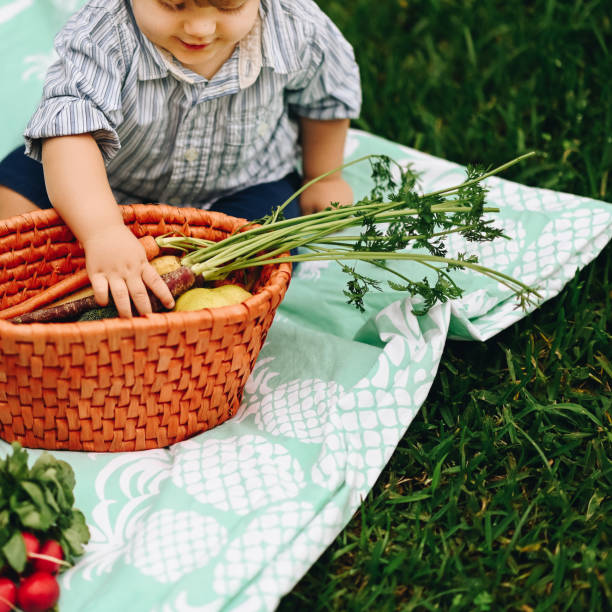Vegetable basket