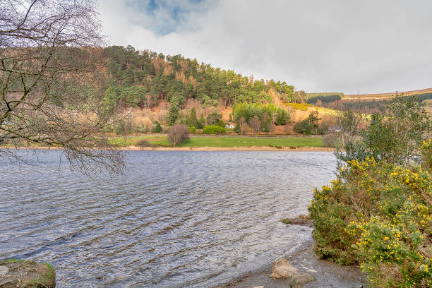 istock Lower Lake in Gleandaugh Ireland 1140622362