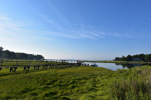 Lush green marsh grass with scenic views of Duxbury Bay.