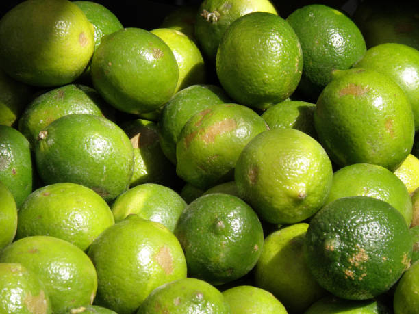 istock Limes at a Farm Stand 1140624863