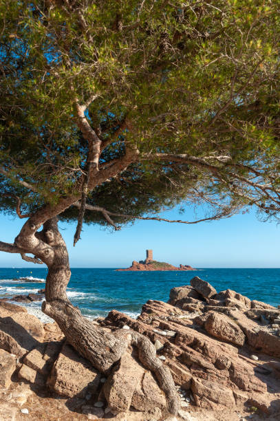 istock Coastal landscape at Cape Dramont near Saint-Raphael 1140625073