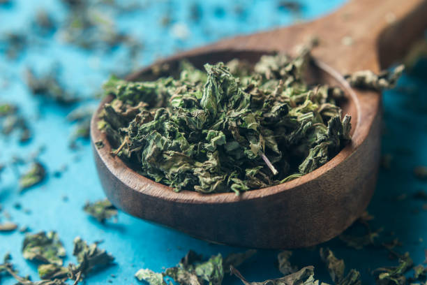 Fresh mint leaves with dried mint in wooden spoon