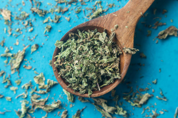istock Fresh mint leaves with dried mint in wooden spoon 1140625737