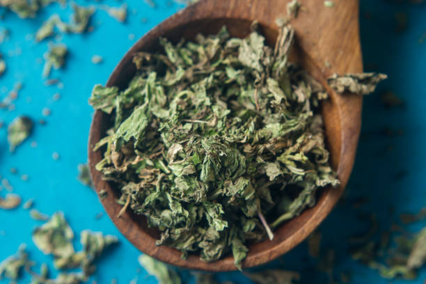 istock Fresh mint leaves with dried mint in wooden spoon 1140625769