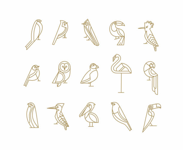 ilustrações, clipart, desenhos animados e ícones de gráfico liso do art deco dos pássaros - pica paus