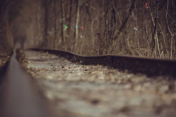 Photo of Train tunnel through the forest