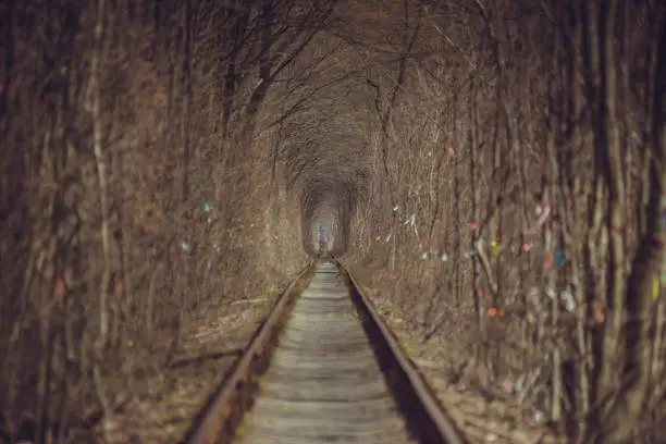 Photo of Train tunnel through the forest