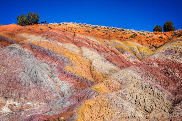 istock Colorful Canyons in Utah and Arizona 1140639456