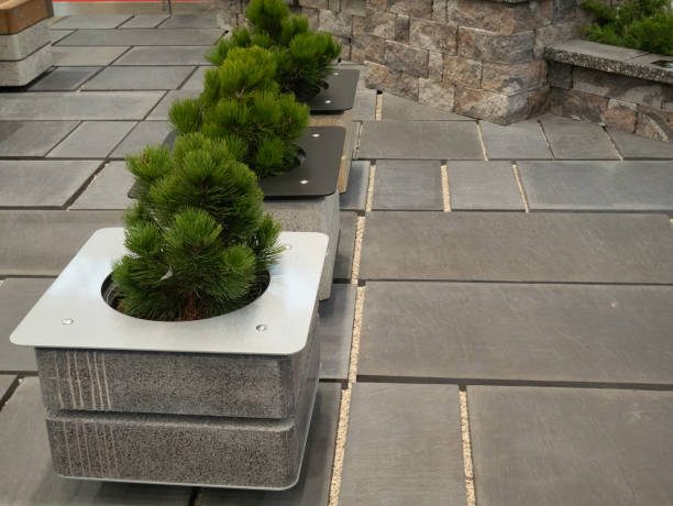 moderne blumentöpfe im stil des betonloft im stadtpark - plant formal garden nature botany stock-fotos und bilder