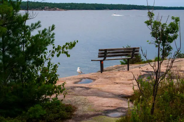 A lonely bench by the lake in Parry Sound, Ontario