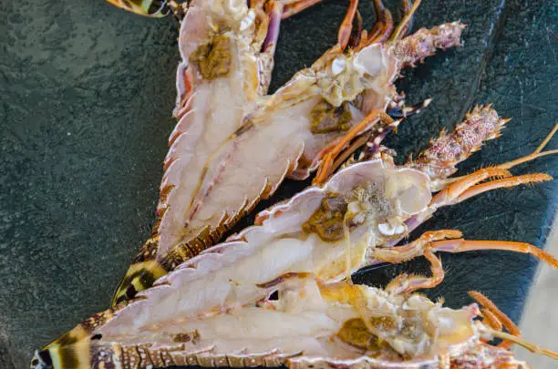 Photo of Lobsters being cleaned