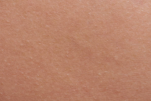 istock Macro of clean human skin 1140648861