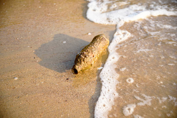 istock An old plastic bottle covered with shells in the ocean 1140649172