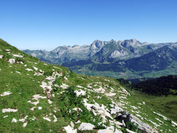 istock Stones and rocks of the Alviergruppe mountain range 1140650911