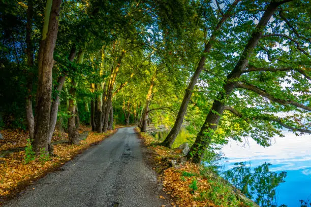 road alongside oristiada lake in Greece