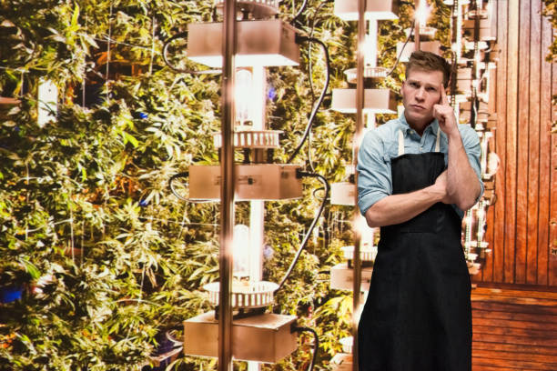 istock Man working in a marijuana shop and is thinking 1140652819