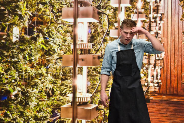 istock Man working in a marijuana shop and is confused 1140652847