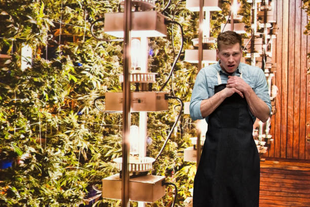istock Man working in a marijuana shop and is worried 1140652852