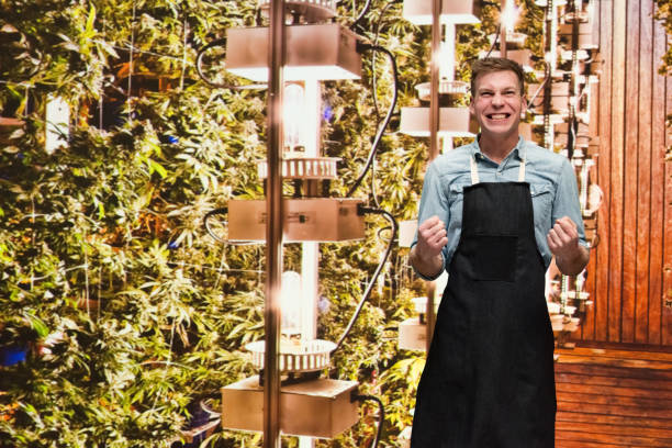 istock Man working in a marijuana shop and is excited 1140653524