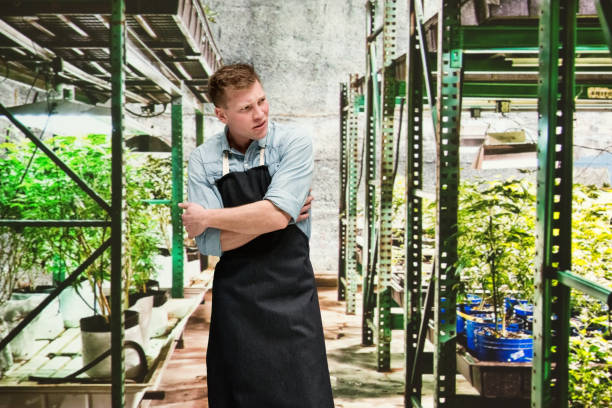 istock Marijuana shop - Male worker is confused 1140655929