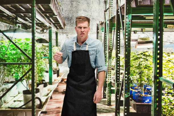 istock Marijuana shop - Male worker is very angry 1140656043