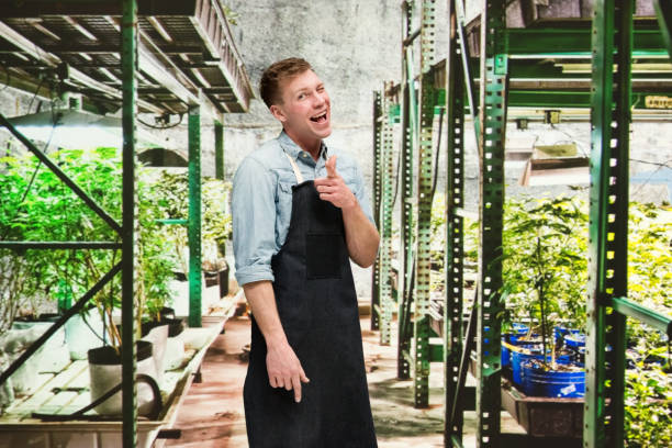 istock Marijuana shop - Male worker is doing finger gun 1140656081