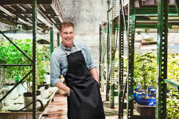 istock Marijuana shop - Male worker is happy 1140657351