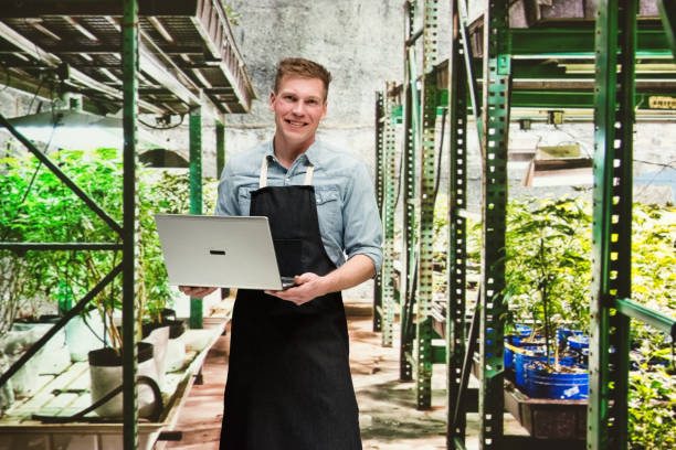 istock Marijuana shop - Male worker is working on laptop 1140658044